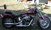 2001 Indian Scout photo